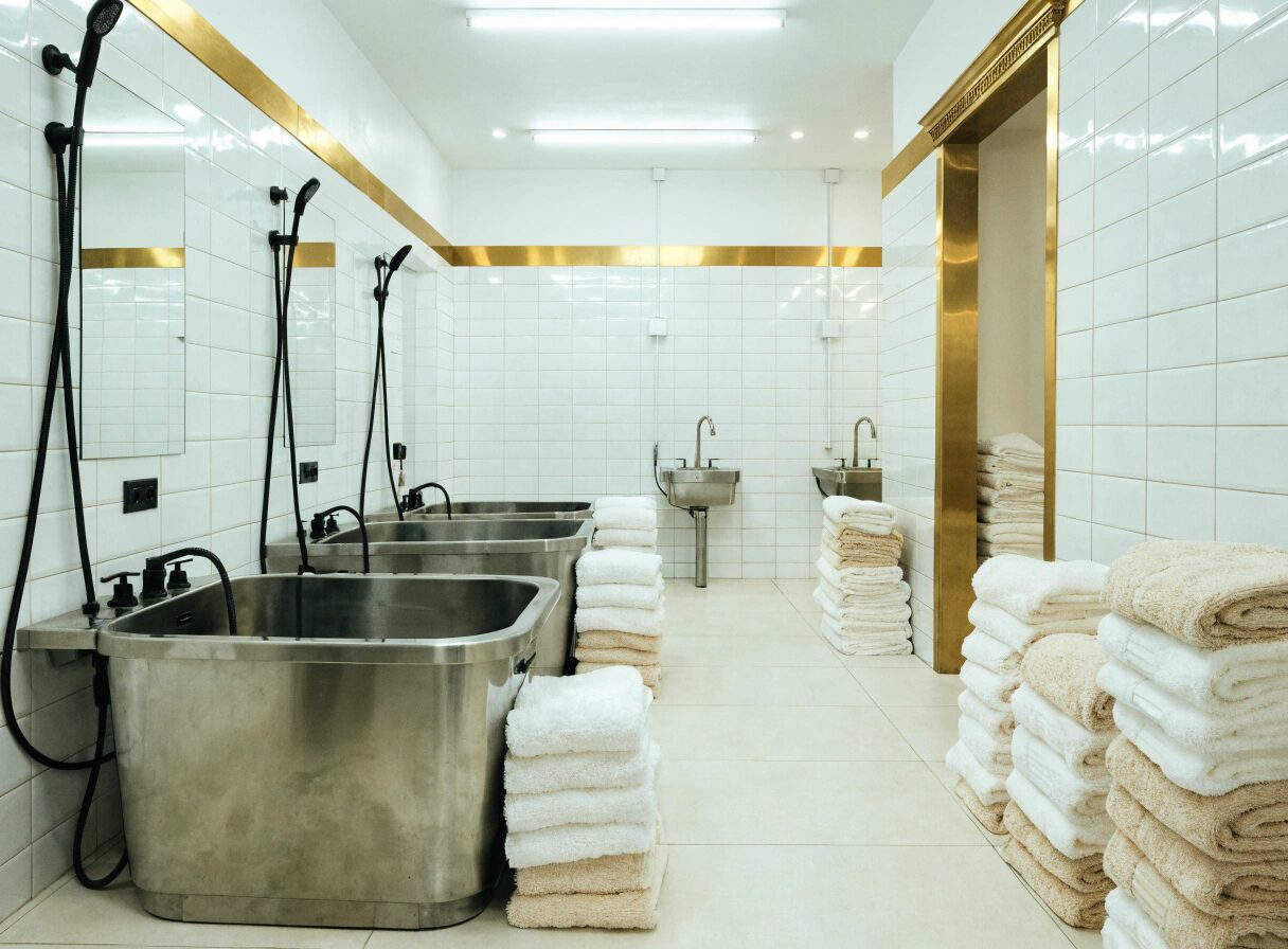 Louie's Luxury Pet Wash interior